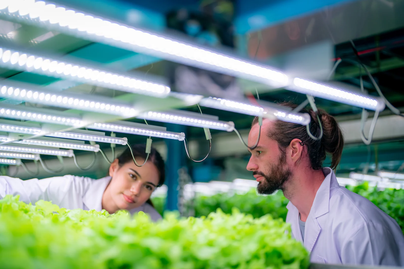 IP69K Waterproof Farm & Specialized Tri-Proof Lighting